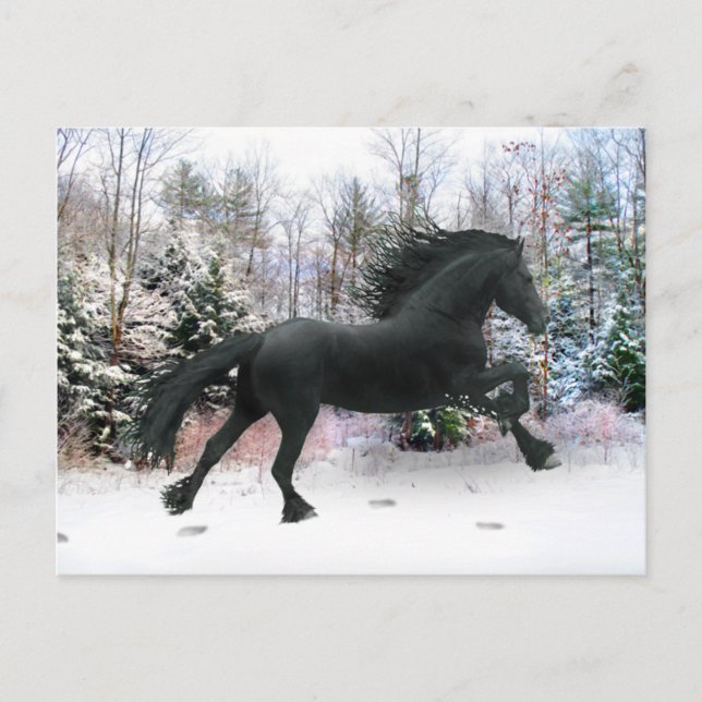 "Första Snö Springa" Vykort (Framsida)