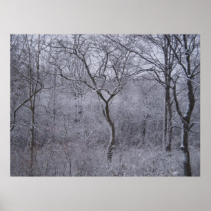 Första Snowfall i Upstate New York Poster
