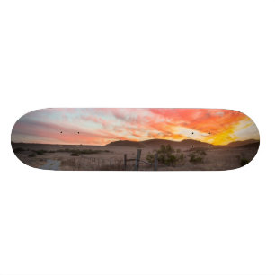 Första solnedgång av dagen skateboard bräda 19,5 cm