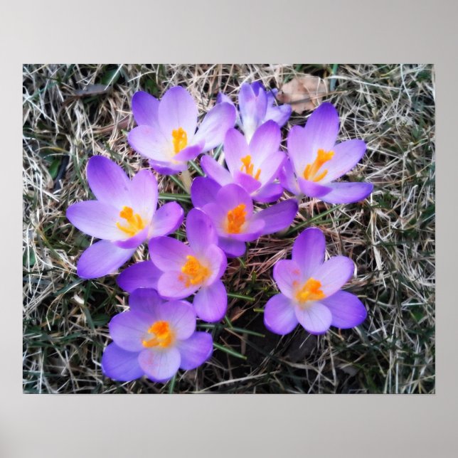 FÖRSTA TECKEN PÅ VÅR POSTER (Framsidan)