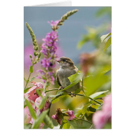 Första Vår Hälsningskort