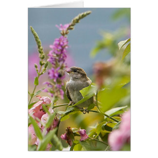 Första Vår Hälsningskort