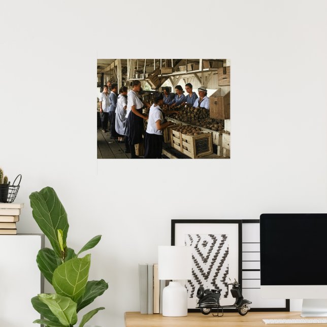 Första världskriget Farmerettes packar persikor Vi Poster (Hemmakontoret)