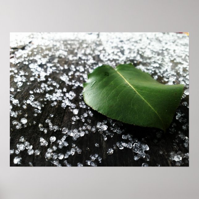 Första vinterväder poster (Framsidan)