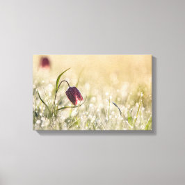 Förstannat Kanvastryck - förmiddagshöjd