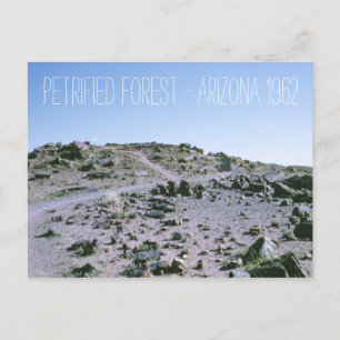 Förstenad skog Arizona 1962 Vykort