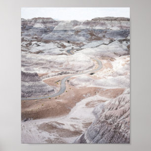 Förstenad Skog, Öde Landskap Fotoaffisch Poster