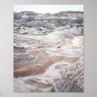 Förstenad Skog, Öde Landskap Fotoaffisch Poster