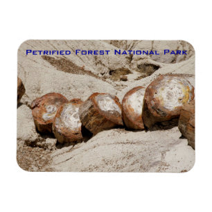 Förstenad skognationalpark magnet