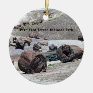 Förstenad skognationalparkprydnad julgransprydnad keramik