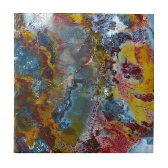 Förstenad wood struktur kakelplatta (Framsidan)