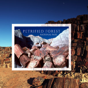 Förstenade stockar, Petrified Forest NP, Arizona Vykort