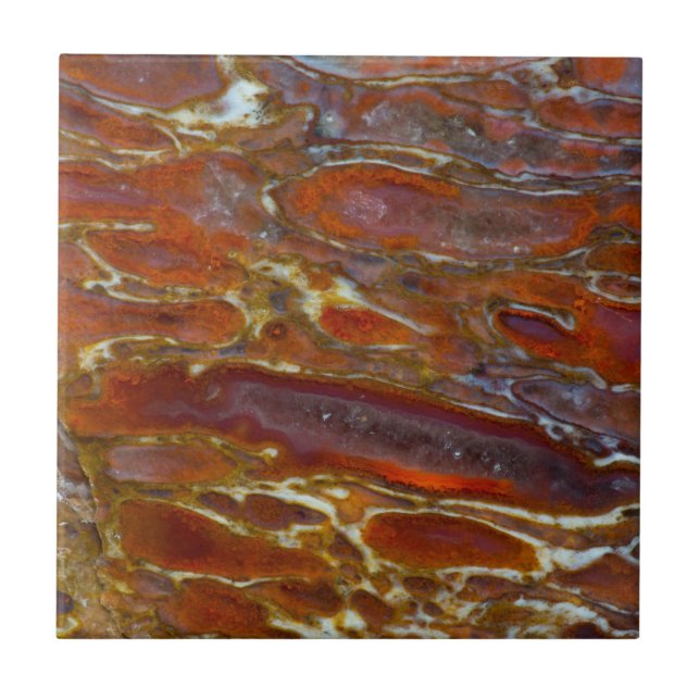 Förstenat dinosaurie-ben kakelplatta (Framsidan)