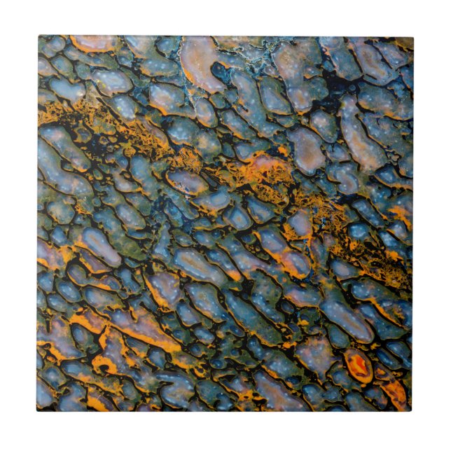 Förstenat dinosaurie-ben kakelplatta (Framsidan)