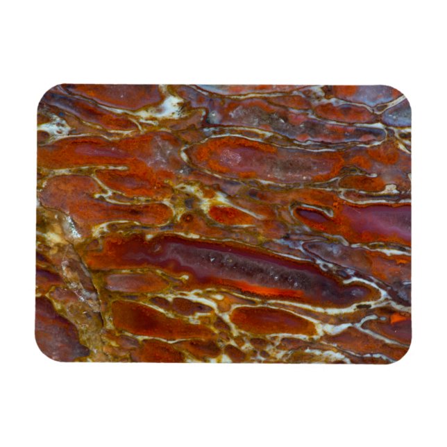 Förstenat dinosaurie-ben magnet (Horisontell)