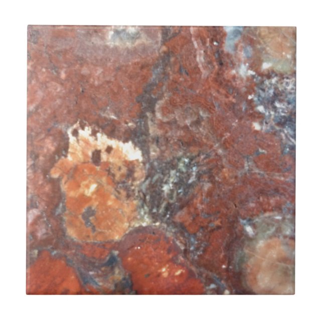 Förstenat trä för AZ Kakelplatta (Framsidan)