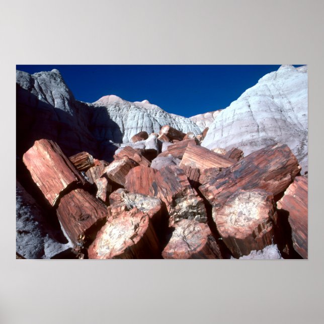 Förstenat trä, Förstenade skogen NP, Arizona Poster (Framsidan)