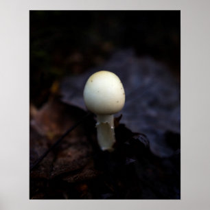 Förstör Angel Dödsfångare Mushroom Poster