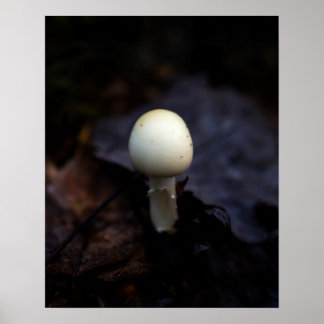 Förstör Angel Dödsfångare Mushroom Poster
