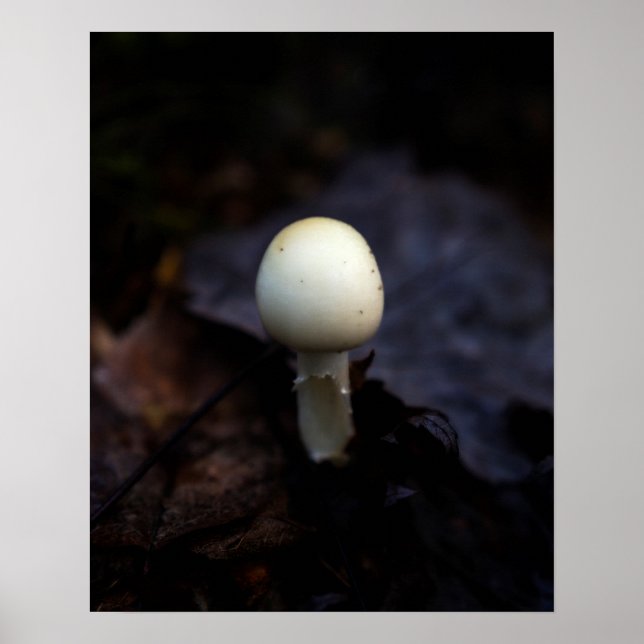 Förstör Angel Dödsfångare Mushroom Poster (Framsidan)