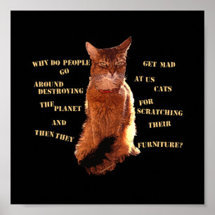 Förstör! Somali Cat Poster