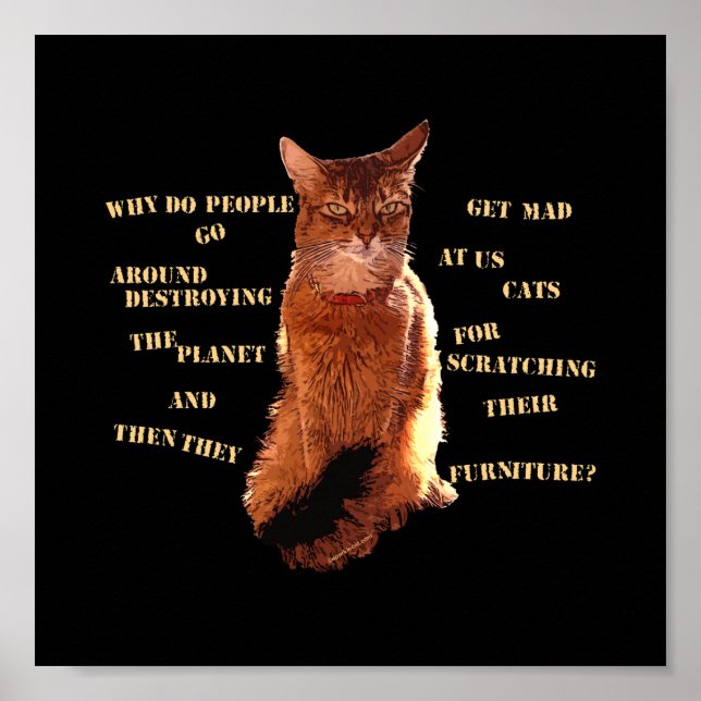 Förstör! Somali Cat Poster (Framsidan)