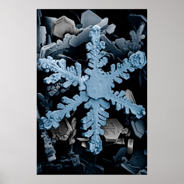 Förstorad hexagonal Dendrite Snowflake Poster (Framsidan)