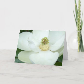Förstorad Magnolia Kort