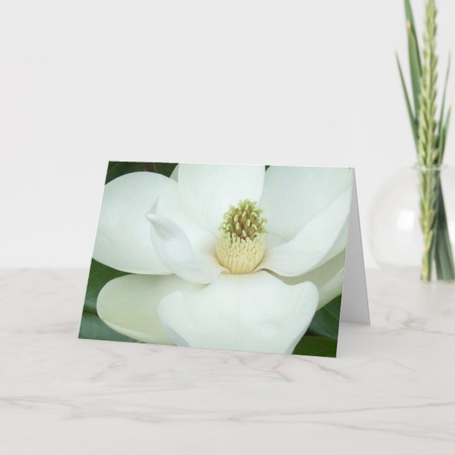 Förstorad Magnolia Kort (Framsida)