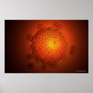 Förstorad syn på ett ägg poster