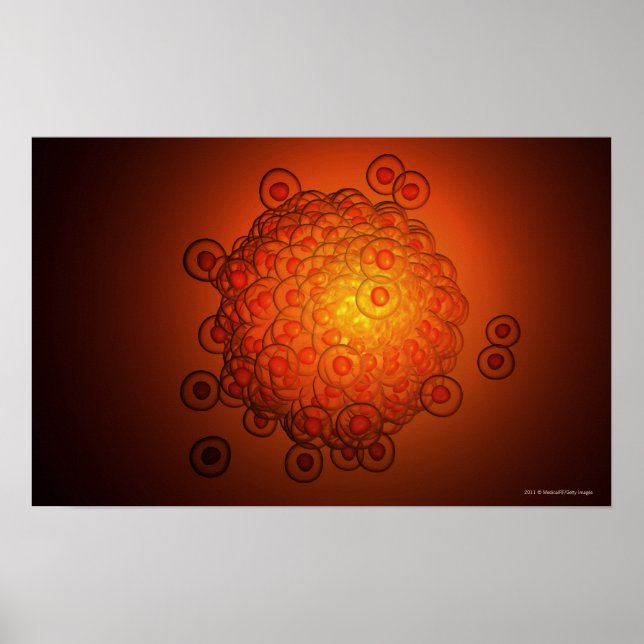 Förstorad syn på ett ägg poster (Framsidan)