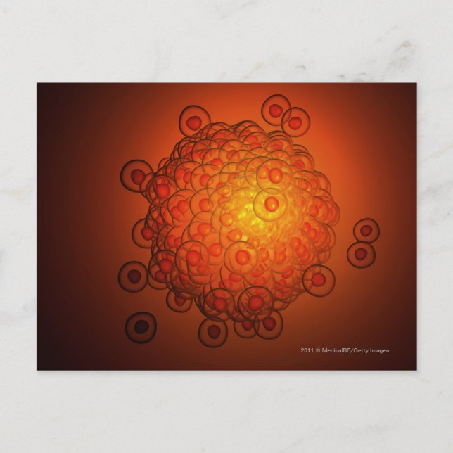 Förstorad syn på ett ägg vykort (Framsida)