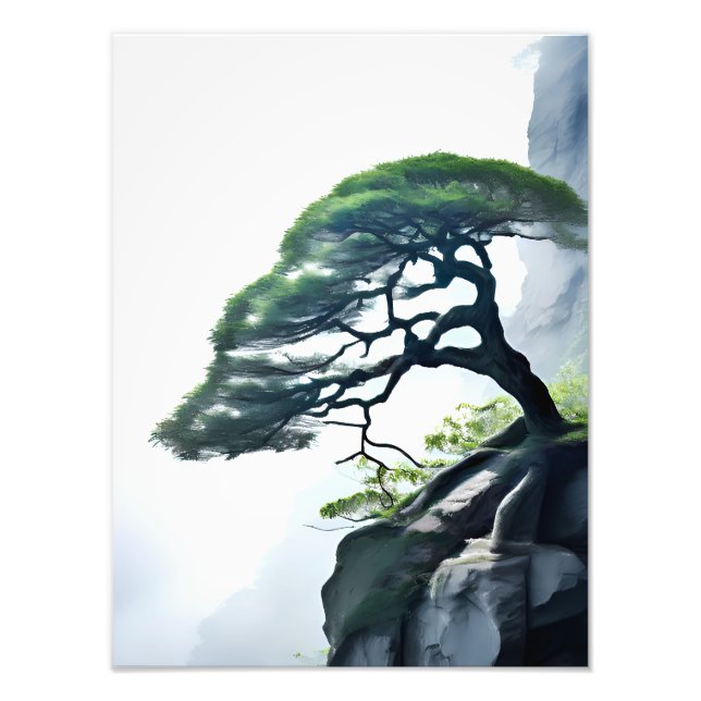 Försvar av Odds: Bonsai Träd på Cliff Fototryck (Framsidan)