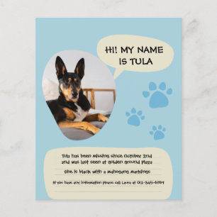 Försvunnen Hund Modern Blå Fotoaffisch Flygblad