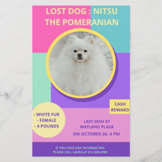 Försvunnen Hund Modern Färgrik Fotoaffisch Flygblad