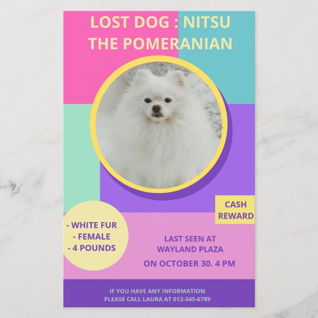 Försvunnen Hund Modern Färgrik Fotoaffisch  Flygblad (Framsidan)