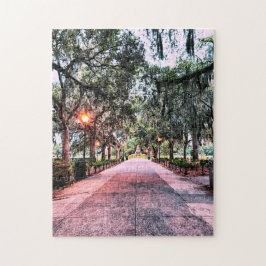 Forsyth Park Evening Puzzle Pussel