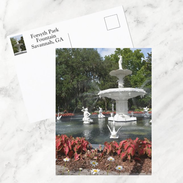 Forsyth Park Fontän Savannah GA Fotografisk Vykort (Skapare uppladdad)