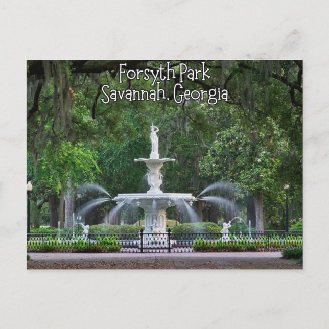Forsyth Park Fontän, Savannah Georgia Vykort (Framsida)