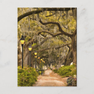 Forsyth Park - Photo, Savannah, Georgia (GA) USA Vykort