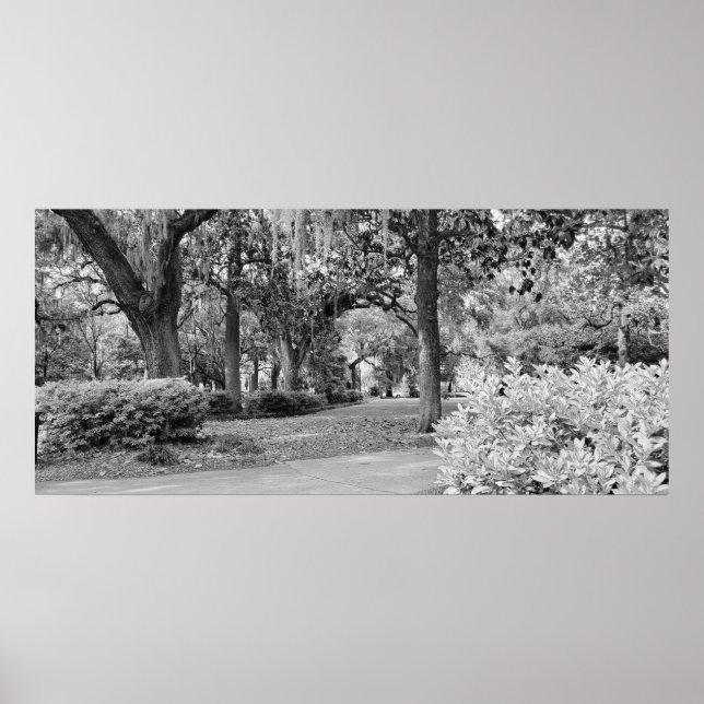 Forsyth Park, Savannah Ga Poster (Framsidan)