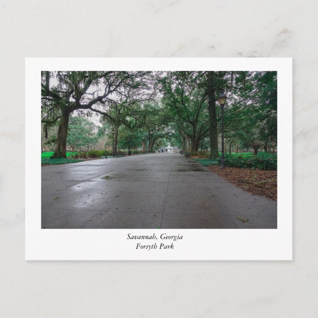 Forsyth Park Savannah Georgia Vykort (Framsida)
