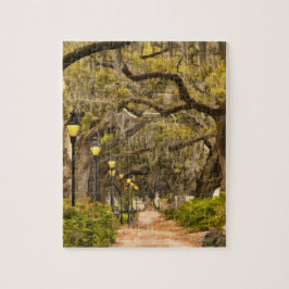 Forsyth parkerar - fotoet, savannahen, Georgia Pussel