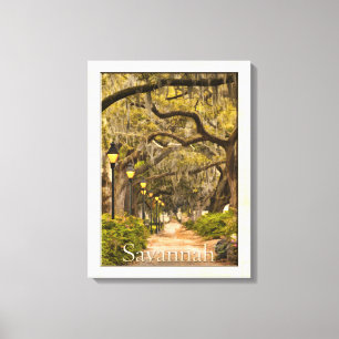 Forsyth parkerar - savannahen, GA Canvastryck
