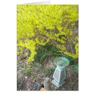 Forsythia i Bloom Hälsningskort