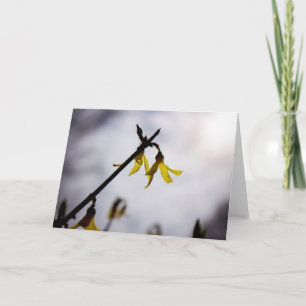 Forsythia i Vår Kort