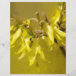 Forsythia - Springtime Sunshine