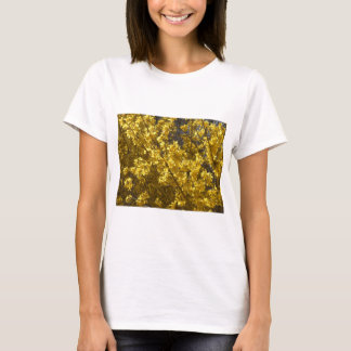 Forsythia T Shirt