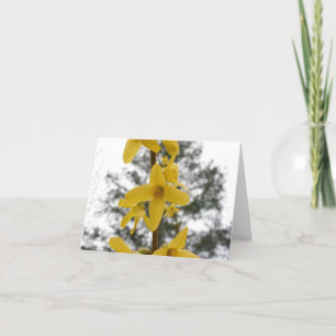 Forsythiablommarnotecard Kort