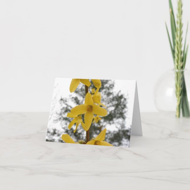 Forsythiablommarnotecard Kort (Framsida)